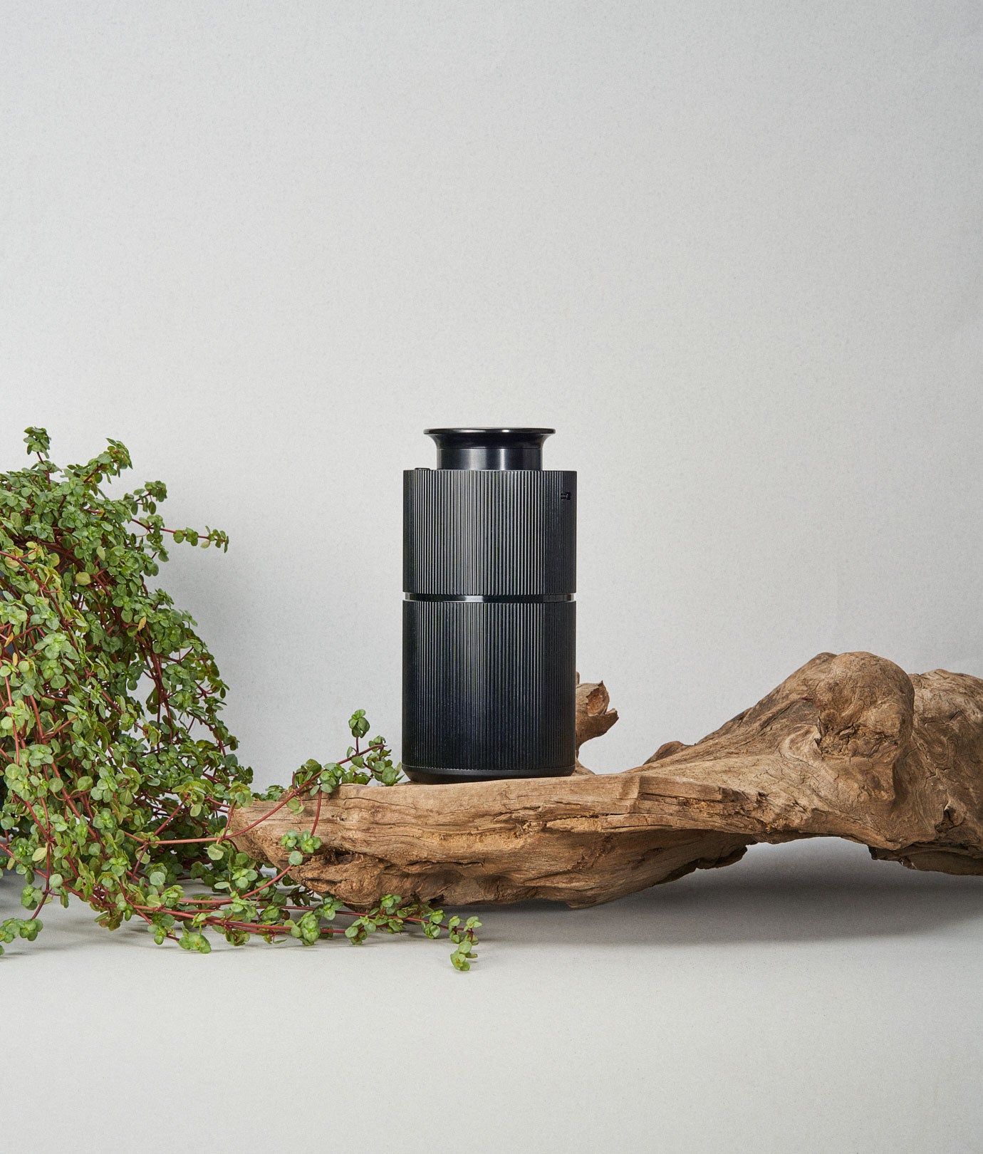 Jeden dyfuzor zapachowy 